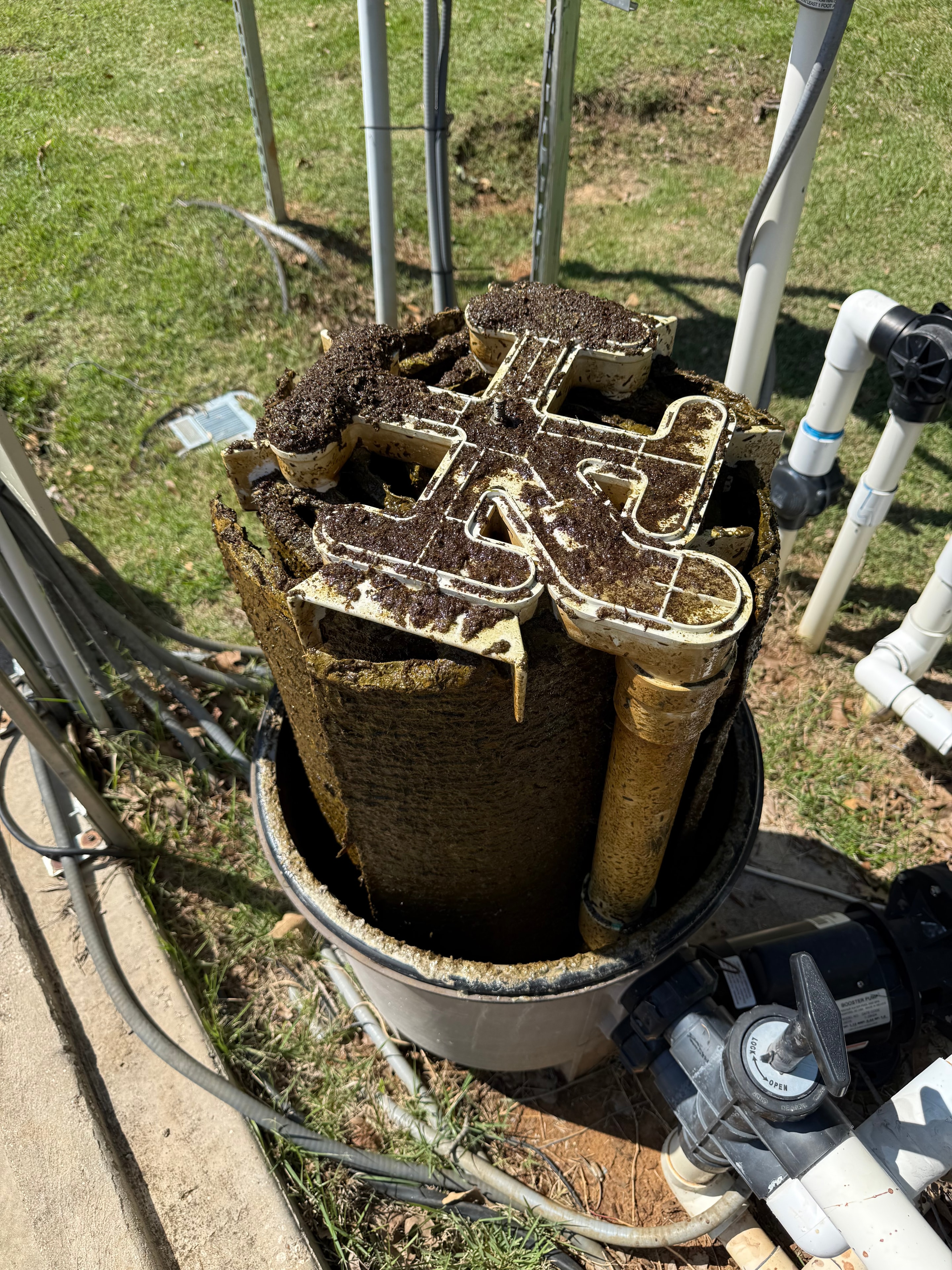 Dirty pool filter before cleaning