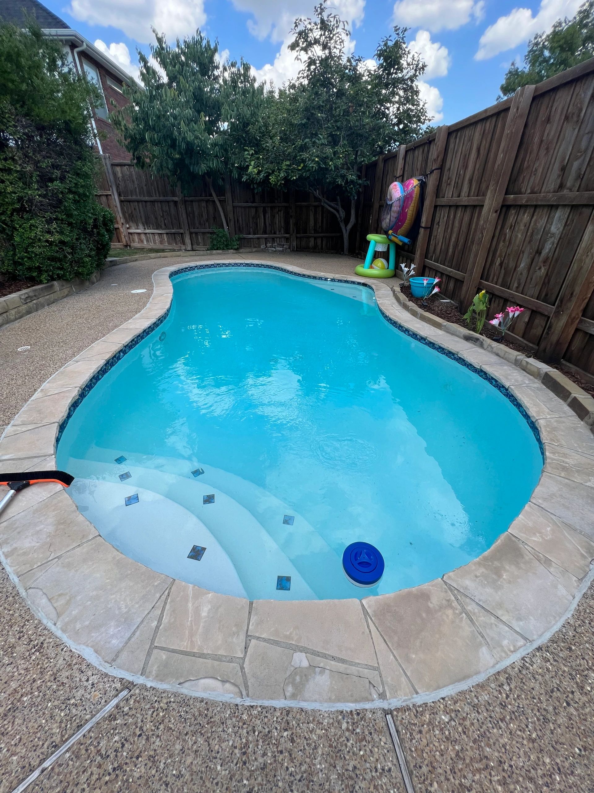 Curved kidney pool with fence