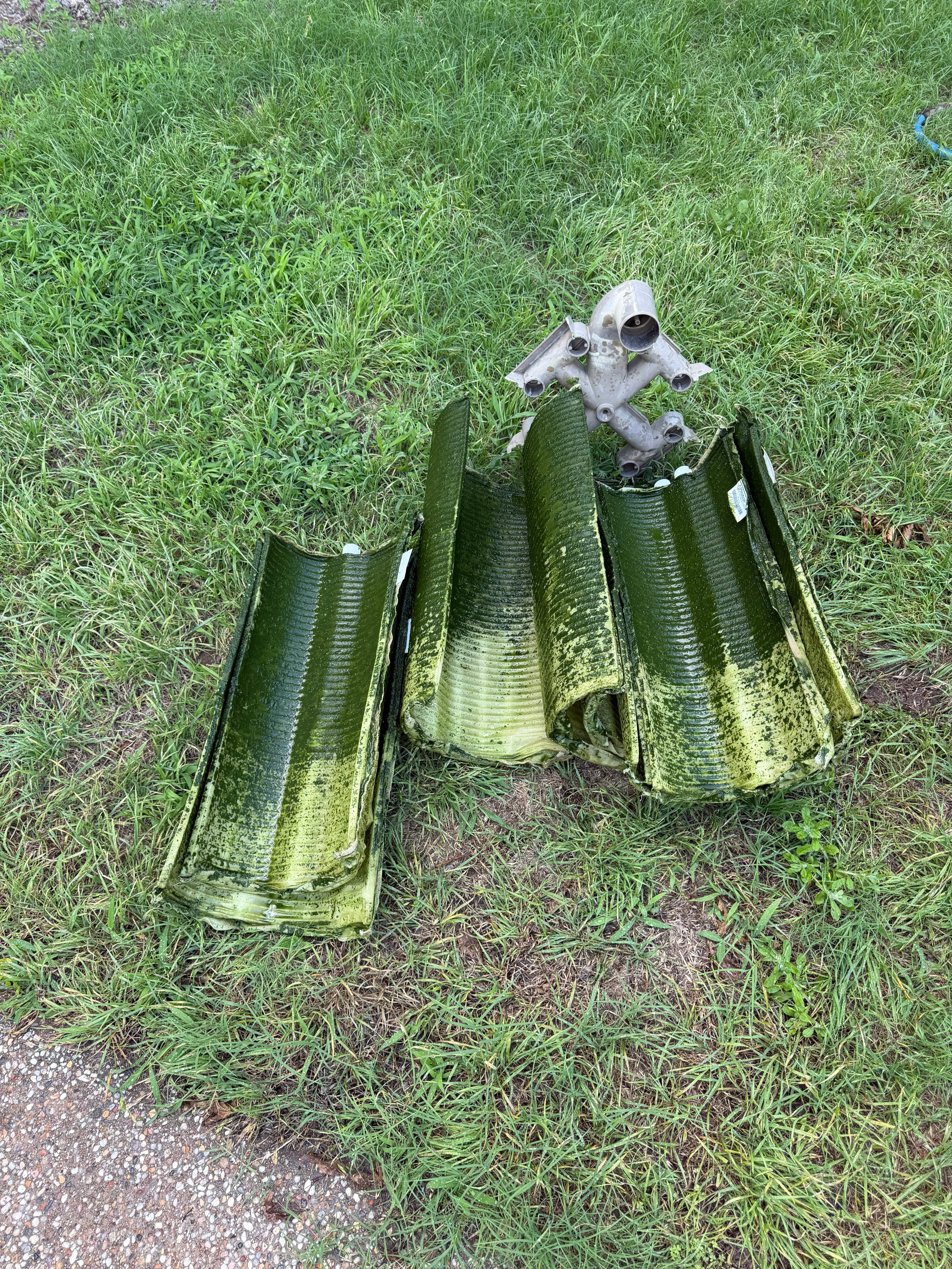 Pool filter cartridges covered in green algae and debris before replacement